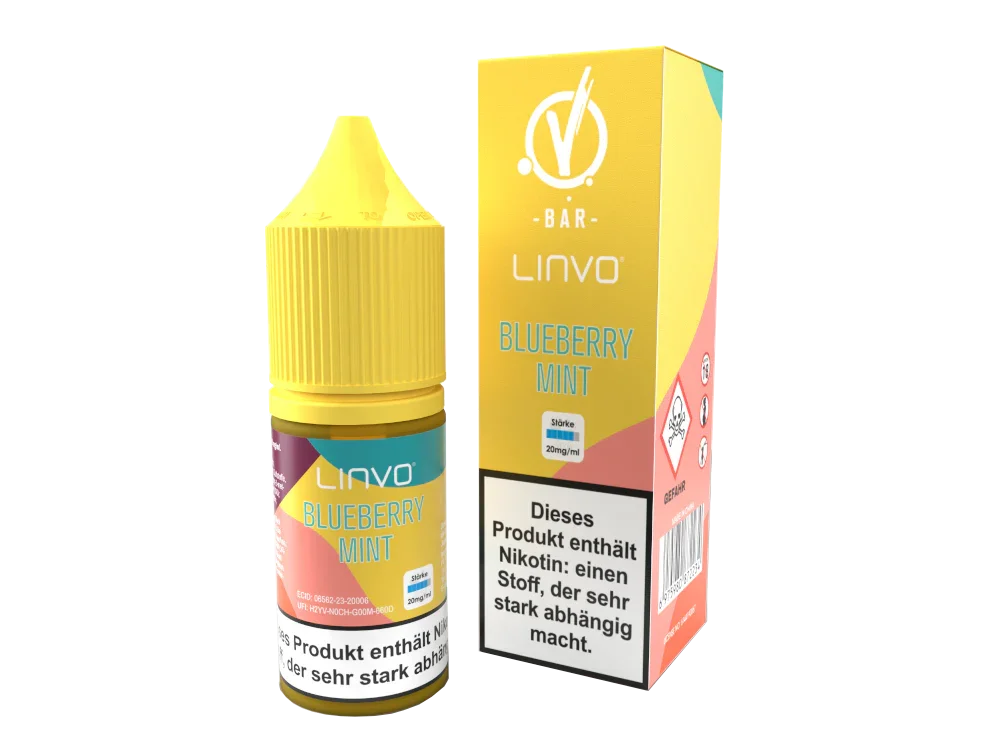 Linvo - Blueberry Mint - Nikotinsalz Liquid - time4smoke